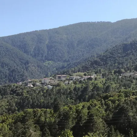 Au Bonheur Des Anes Vezzani